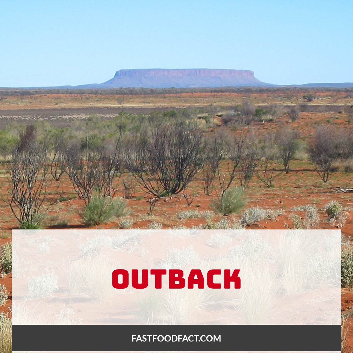 Outback